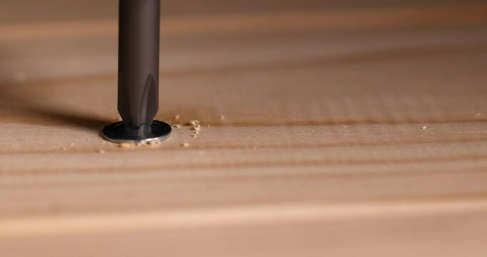 self-tapping screw with a drill shape for fixing wooden boards and other wood materials, self-tapping screws with a drill tip twisted into a pine board
