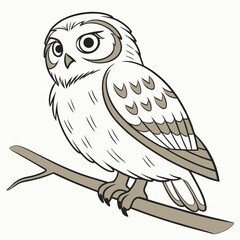 Tawny owl perched on branch bird nature