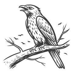 Majestic bird perched on bare branches tree nature