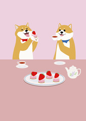 苺ケーキを食べるしば犬