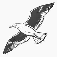 Flying seagull with dark wings and white body bird