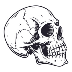 Black skull profile on white human skull illustration
