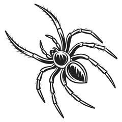 Stylized spider with eight legs on white background