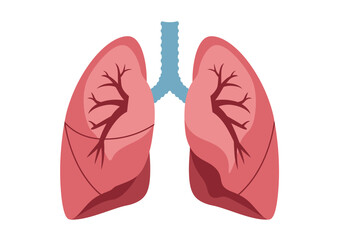 Anatomical Illustration of a Pair of Human Lungs with Blood Vessels.