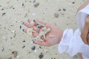 Corals and seashells on woman hand in white dress at the beach. Summer holiday vacation travel...