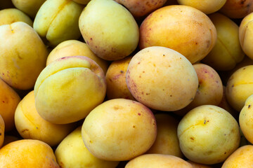 Fresh Apricots on a Market Stall. A Vibrant Display of Apricots Celebrating Bounty of Nature. The Essence of Summer. Juicy Apricots Evoking Joy and Abundance.