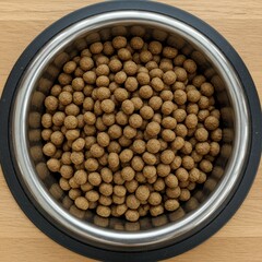 Dog food in bowl pet nutrition dry kibble meal canine diet healthy