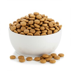 Bowl of healthy dry pet food nutrition for dogs and cats eating