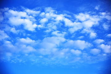 Fototapeta premium 青空と綿雲