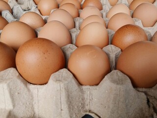 Collection of chicken eggs in a cardboard box.