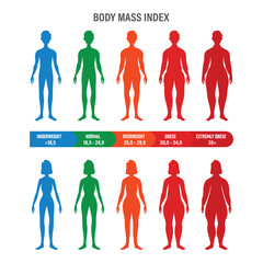 Man and Woman Body Mass Index Vector Illustration