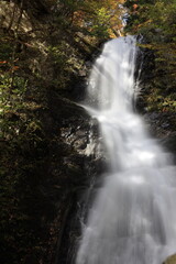 Fototapeta premium Autumn Waterfall in a Serene Forest in Japan