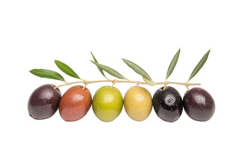 Freshly harvested olives in various colors arranged with leaves, showcasing the diversity and beauty of olive fruits for culinary and health purposes.
