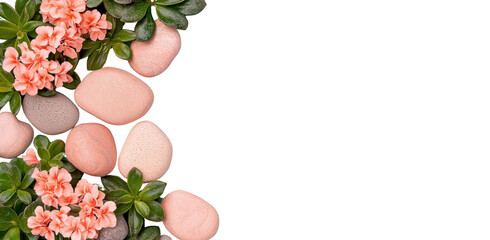 Delicate Pink Flowers and Smooth Stones Arranged on Green Leaves for Tranquil Nature Aesthetic and Relaxing Garden Atmosphere
