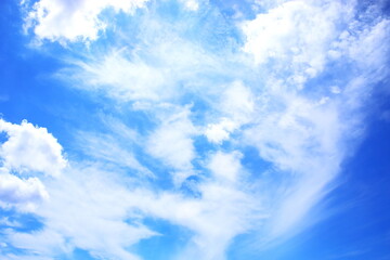 青空を舞うような白い雲