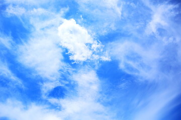 青空を舞うような白い雲