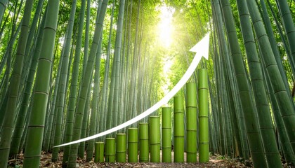 Chart Rising in Bamboo Forest