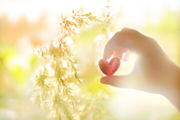 Female hand holding red heart, sunlight, Love, peace, praying, protection, volunteering, dreamy autumn background. Fairy sunset. Cinematic style
