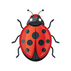 Red Ladybug Insect Vector Illustration - Cute Garden Bug