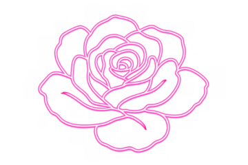 Luminous pink neon rose illuminating transparent surface, symbolizing romantic essence and passionate love themes