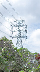 Power lines stretch high above, transmission tower behind trees reaching towards a cloudy sky