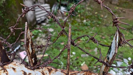 Rusty Barbed Wire Protection Overgrowth, Fading Protection of Rusty Metal Barbed Wire Fence