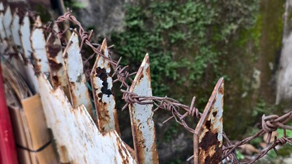 Rust and Resistance: Barbed Wire's Stark Beauty, The Relentless March of Rust: A Fence's Tale of...