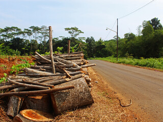 Close-up view of a stack of wood in the roadside on a sunny day. 