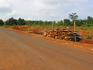 View of a road in the agricultural area with a stack of wood in the roadside on a sunny day. 