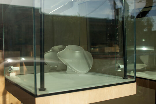 Display Case Neck Mannequin at Jewelry Store