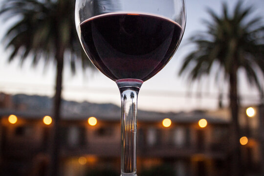 Red Wine Glass Framed by Palm Trees Lights and the Hollywood Hills