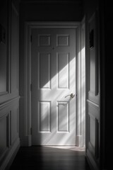 Obraz premium Bright sunlight streaming through a partially open interior door illuminating a classic home corridor with detailed paneling and shadows