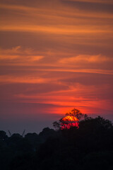 Big sun in the sky With trees