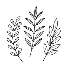 Naklejka premium Minimalist Herb and Leaf Line Art Collection — Basil, Rosemary, Thyme, Eucalyptus in Black and White