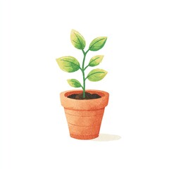 Fototapeta premium Small Plant in Terracotta Pot