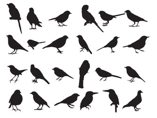 Bird Silhouettes Vector Illustration Isolated on White Background