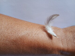 A man showed a feather on his arm in front of a bright background.