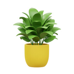  Fresh green leafy houseplant growing in decorative yellow pot ideal for interior design and modern decoration, isolated on a transparent background, png, cutout
