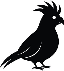 Cockatiel vector silhouette. Cockatiel line art silhouette vector illustration