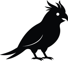 Cockatiel vector silhouette. Cockatiel line art silhouette vector illustration