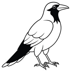 Fototapeta premium Cute crow outline art illustration coloring page book for kids