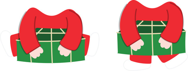 boy holding banh chung, happy new year, vietnamese new year