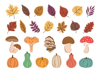 Leaves Pumpkins Mushrooms Set in Trendy Flat Style Isolated on white background. Autumn Fall or Spring Forest Harvest Sticker Elements. Collection Different Autumn Icons Clipart. Vector Illustration.