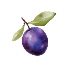 My Watercolor illustration with olive painting isolated on a white background, illustration, AI painting design, vector illustration set, eps format, My illustration