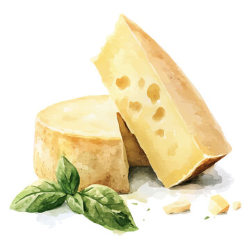 My Watercolor illustration with parmesan cheese sliced with basil painting isolated on a white background, illustration, AI painting design, vector set, eps format, My illustration design