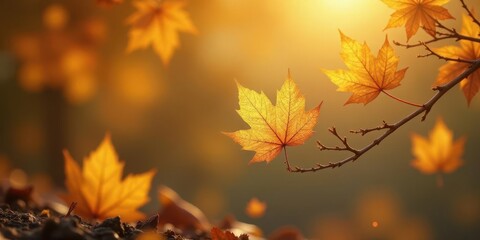 Obraz premium Golden Autumn Leaves Glowing in the Warm Sunset Light on a Branch