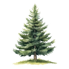 Obraz premium My Watercolor illustration with pine tree painting isolated on a white background, illustration, AI painting design, vector set, eps format, My illustration design