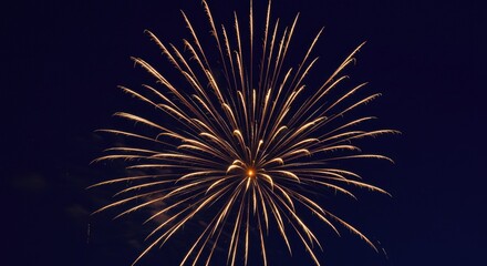 Obraz premium Exploding fireworks display against a dark night sky