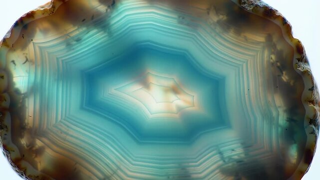 Striking Teal Blue and Brown Agate Slice Exhibiting Concentric Band Patterns Translucent Stone Detailing