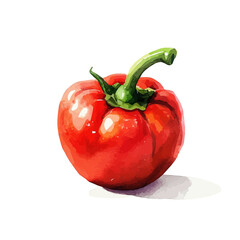 My Watercolor illustration with red tomato and bell pepper painting isolated on a white background, illustration, AI painting design, vector set, eps format, My illustration design, vector collection	